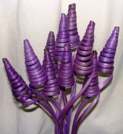 Spirales de canne (CaneCone)