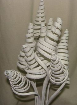 Spirales de canne (CaneCone)
