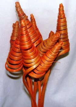 Spirales de canne (CaneCone)