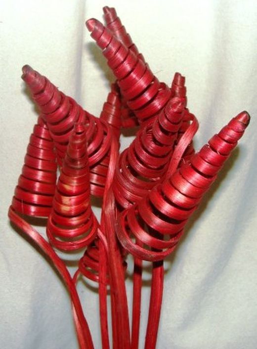 Spirales de canne (CaneCone)