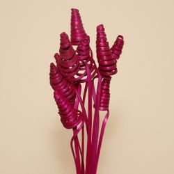 Espirales de caña (CaneCone)