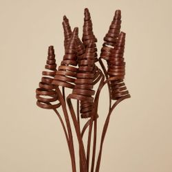 Espirales de caña (CaneCone)