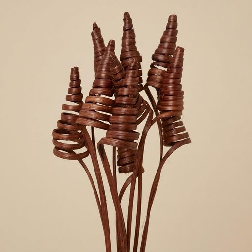 Espirales de caña (CaneCone)