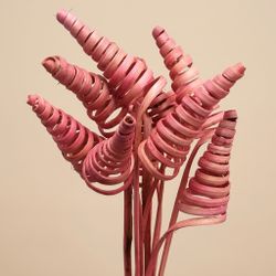 Espirales de caña (CaneCone)