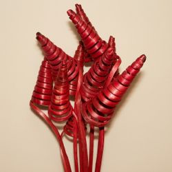 Espirales de caña (CaneCone)