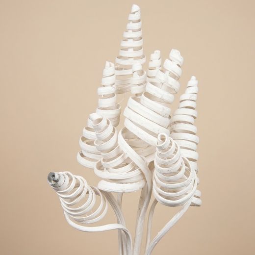 Espirales de caña (CaneCone)