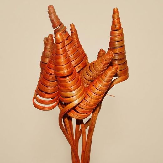 Espirales de caña (CaneCone)
