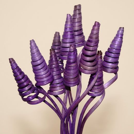 Espirales de caña (CaneCone)