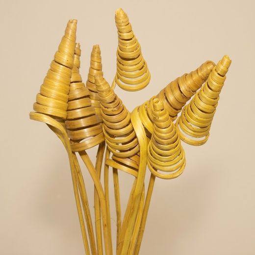 Espirales de caña (CaneCone)