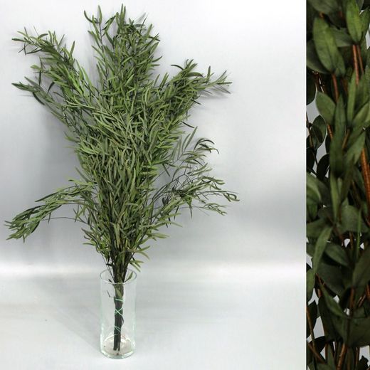 Eucalyptus Nicoly vert stabilisé