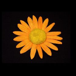 Fleur de marguerite
