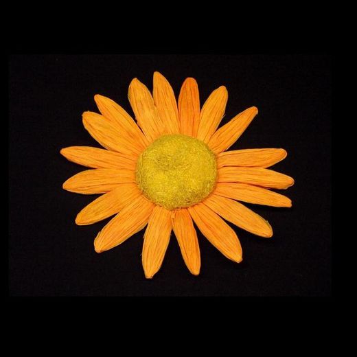 Fleur de marguerite