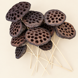 Flor de Loto Seca