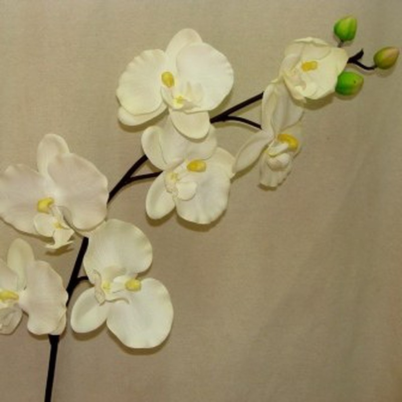 Flor de Orquidea Phalaenopsis Artificial — Floresfrescasonline