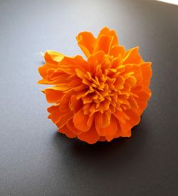 Flor de Tagetes Clavel Moruno