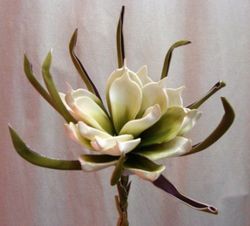 Flor Magnolia Sépalos Polyfoam