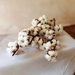 Flors de Cotó