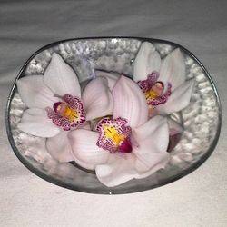 Flors de Orquideas Cymbidium