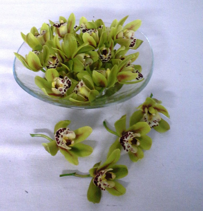 Mini flores da orquídea do Cymbidium — Flores Frescas Online