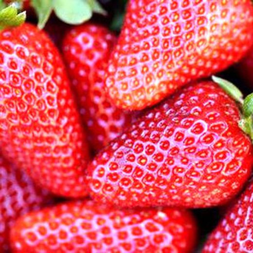 Fresas MPS