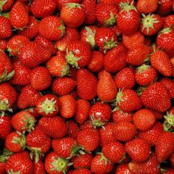 Fresas MPS