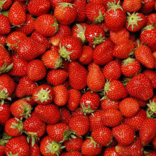 Fresas MPS
