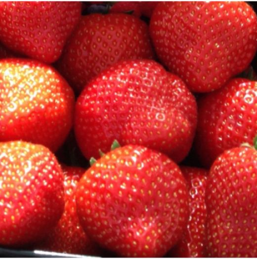 Fresas MPS