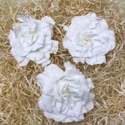 Gardenias Preservadas Caja 3 uds.