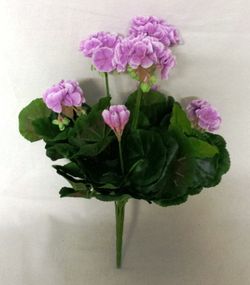 Geranio Zonal Artificial