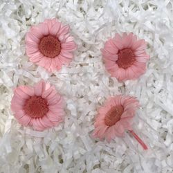 Gerberas conservés Boîte 4 unités.