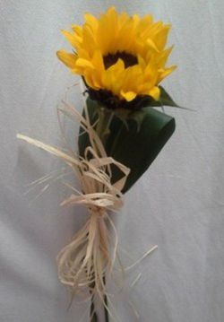 Girasol