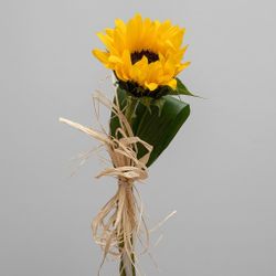 Girasol