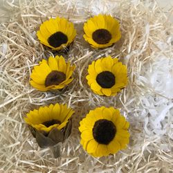Tournesols conservés