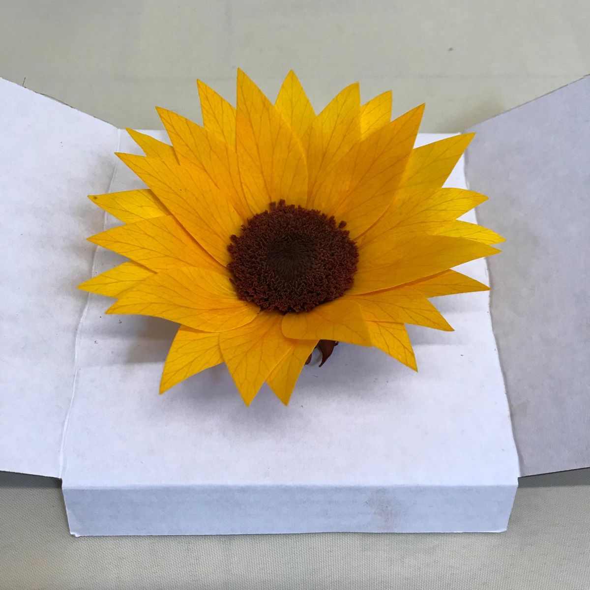 Flor tipo Girasoles Preservados Grande  1 und.