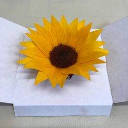 Tournesols conservés