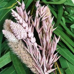 Guirnaldas Naturales Flor seca (1 m lineal)