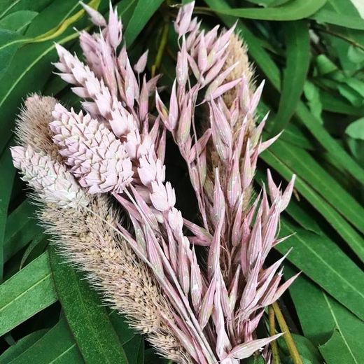 Guirnaldas Naturales Flor seca (1 m lineal)