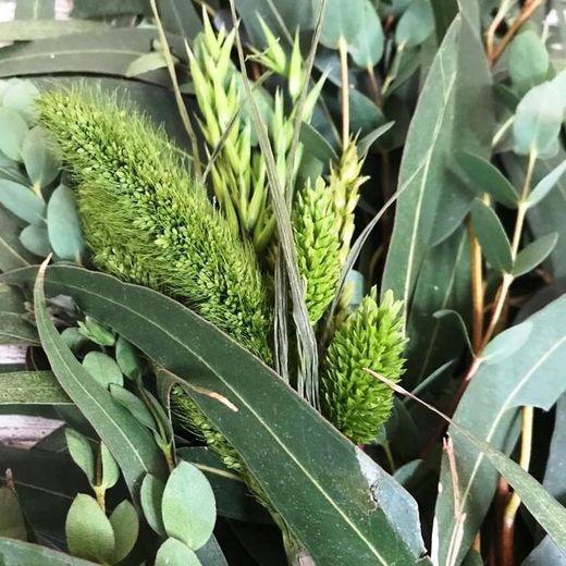 Guirnaldas Naturales Flor seca (1 m lineal)