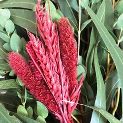 Guirnaldas Naturales Flor seca (1 m lineal)