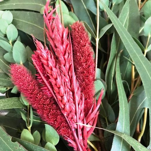 Guirnaldas Naturales Flor seca (1 m lineal)