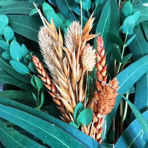 Guirnaldas Naturales Flor seca (1 m lineal)
