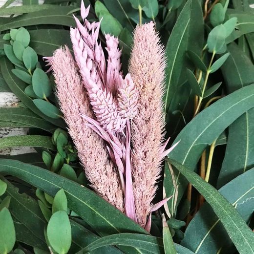 Guirnaldas Naturales Flor seca (1 m lineal)
