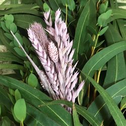 Guirnaldas Naturales Flor seca (1 m lineal)