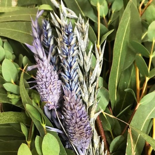 Guirnaldas Naturales Flor seca (1 m lineal)