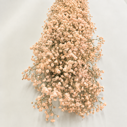 Guirlandas naturais de Paniculata (1 m linear)