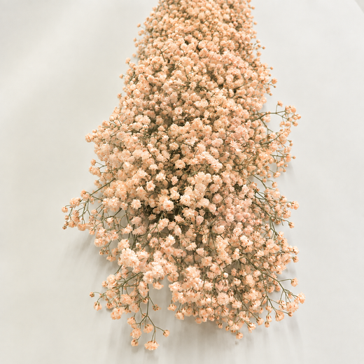 Guirlandas naturais de Paniculata (1 m linear)