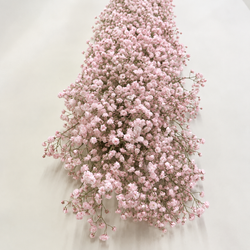 Guirlandas naturais de Paniculata (1 m linear)