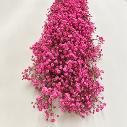 Guirlandas naturais de Paniculata (1 m linear)