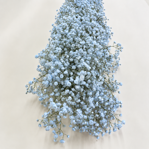 Guirlandas naturais de Paniculata (1 m linear)