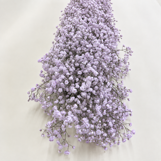 Guirlandas naturais de Paniculata (1 m linear)